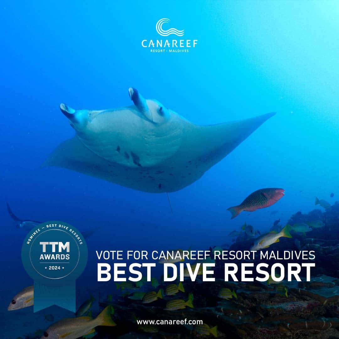 TTM Awards Maldives 2024