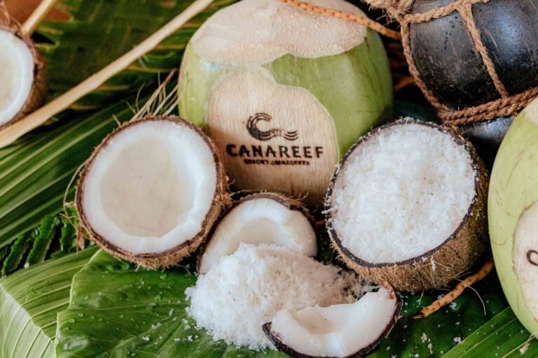 Coconuts at Maldives